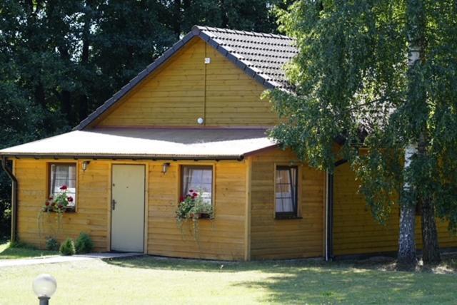 Haus Panorama Lägenhet Tylkowo Exteriör bild